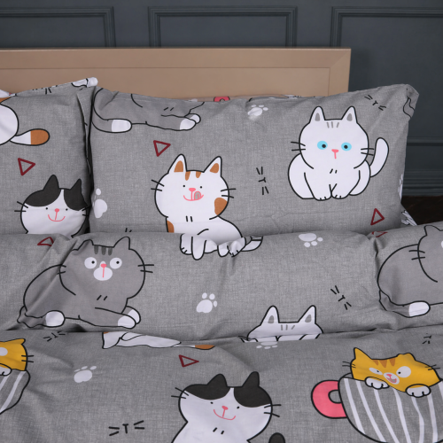 Комплект постільної білизни Ranforce Elite 17-0665 Cream Kittens - 2