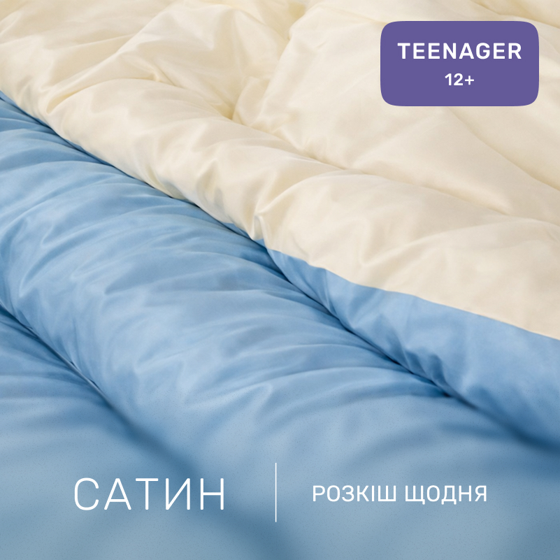 Комплект постельного белья Сатин TEENAGER 0845+ 0840 Evans - 1