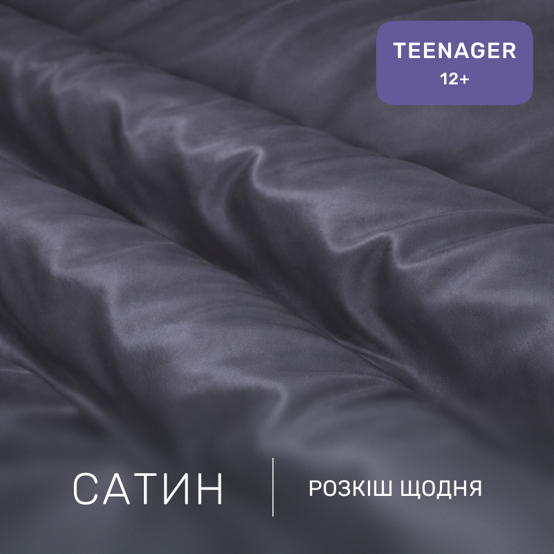 Комплект постельного белья Сатин TEENAGER 0240 Iron grey - 1