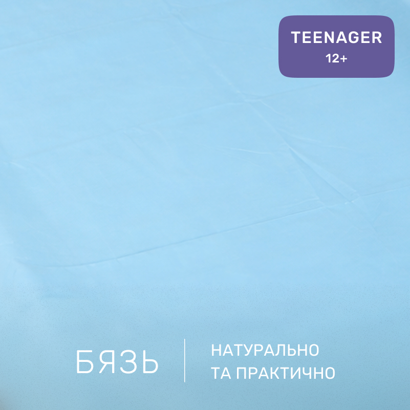 Комплект постельного белья Бязь TEENAGER 17-0571 Minecraft War - 1