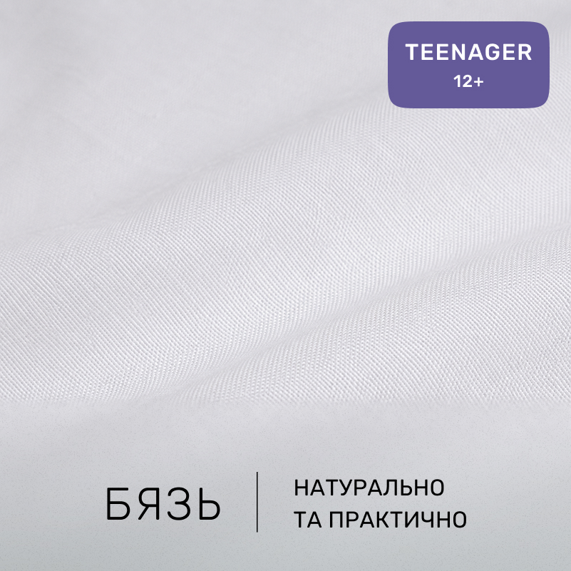 Комплект постельного белья Бязь TEENAGER 17-0595 "Пес Патрон" - 1