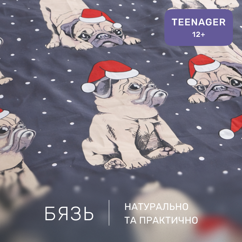 Комплект постельного белья Бязь TEENAGER 17-0598 New Year's pug - 1