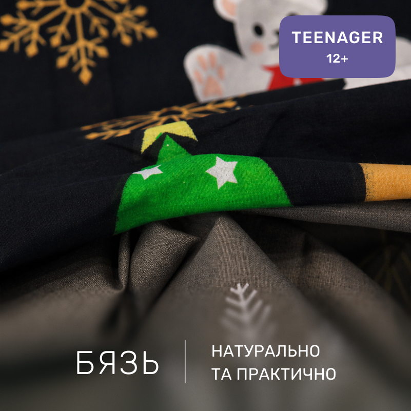Комплект постельного белья Бязь TEENAGER 17-0678 Frosty Fun - 1