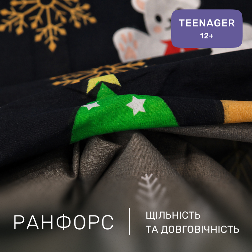 Комплект постельного белья Ranforce Elite TEENAGER 17-0678 Frosty Fun - 1