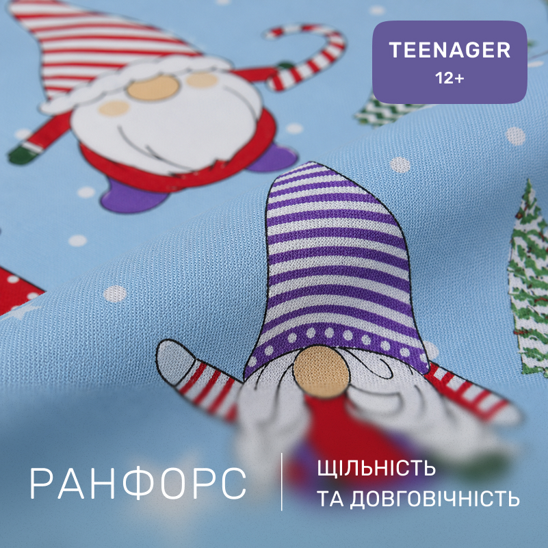 Комплект постельного белья Ranforce Elite TEENAGER 17-0679 Winter Wishes - 1