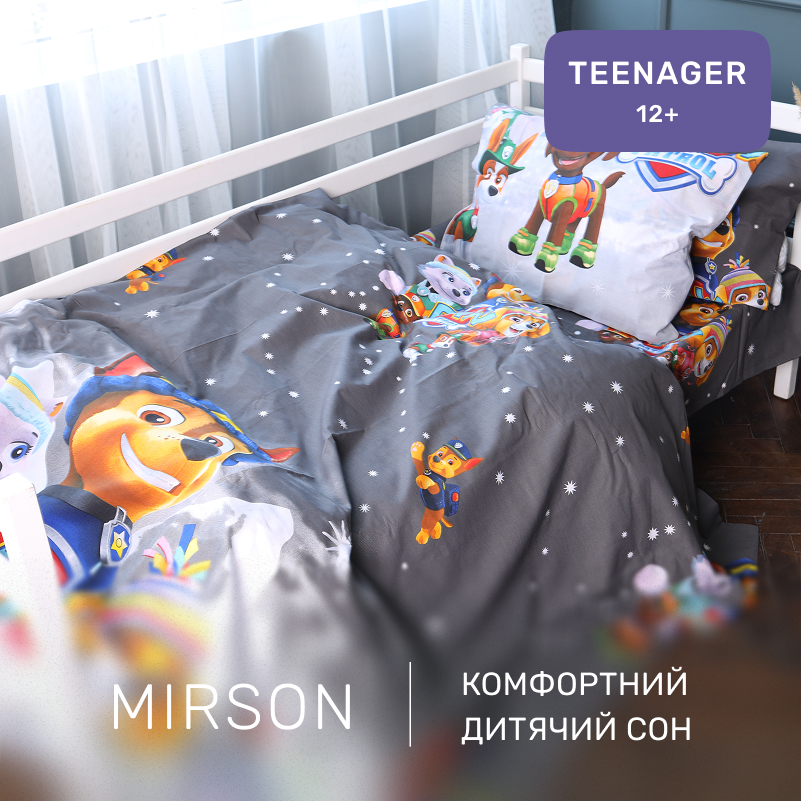 Комплект постельного белья Бязь TEENAGER 17-0795 Paw Patrol Winter gray - 3