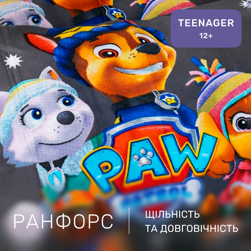 Комплект постельного белья Ranforce Elite TEENAGER 17-0795 Paw Patrol Winter gray - 1