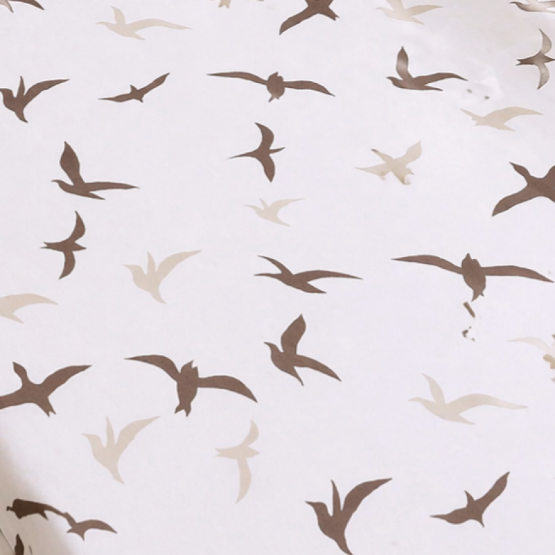 Комплект постельного белья Ranforce Elite JUNIOR 17-0826 Flying birds brown - 8