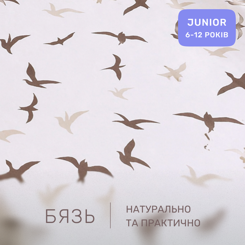 Комплект постельного белья Бязь JUNIOR 17-0826 Flying birds brown - 1