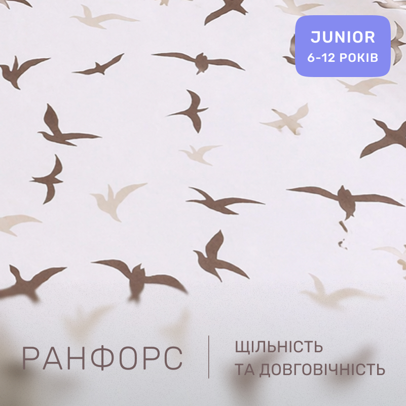 Комплект постельного белья Ranforce Elite JUNIOR 17-0826 Flying birds brown - 1