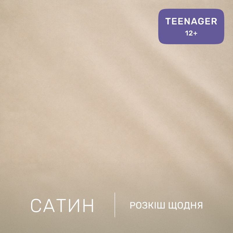 Комплект постільної білизни Сатин TEENAGER 22-1473 Flying Friends - 1