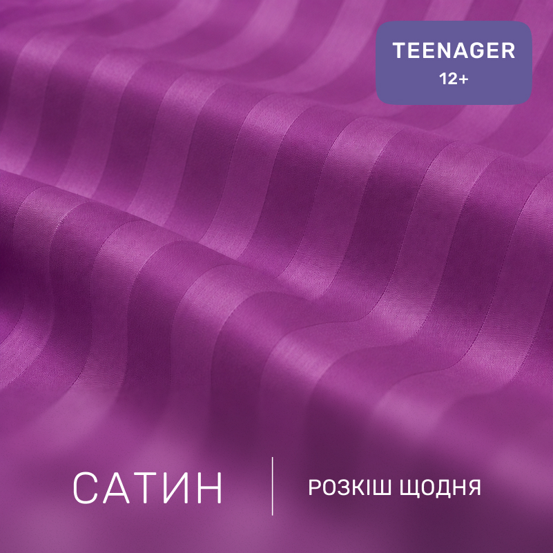 Комплект постельного белья Сатин TEENAGER Satin Stripe 30-0009 Purple - 1
