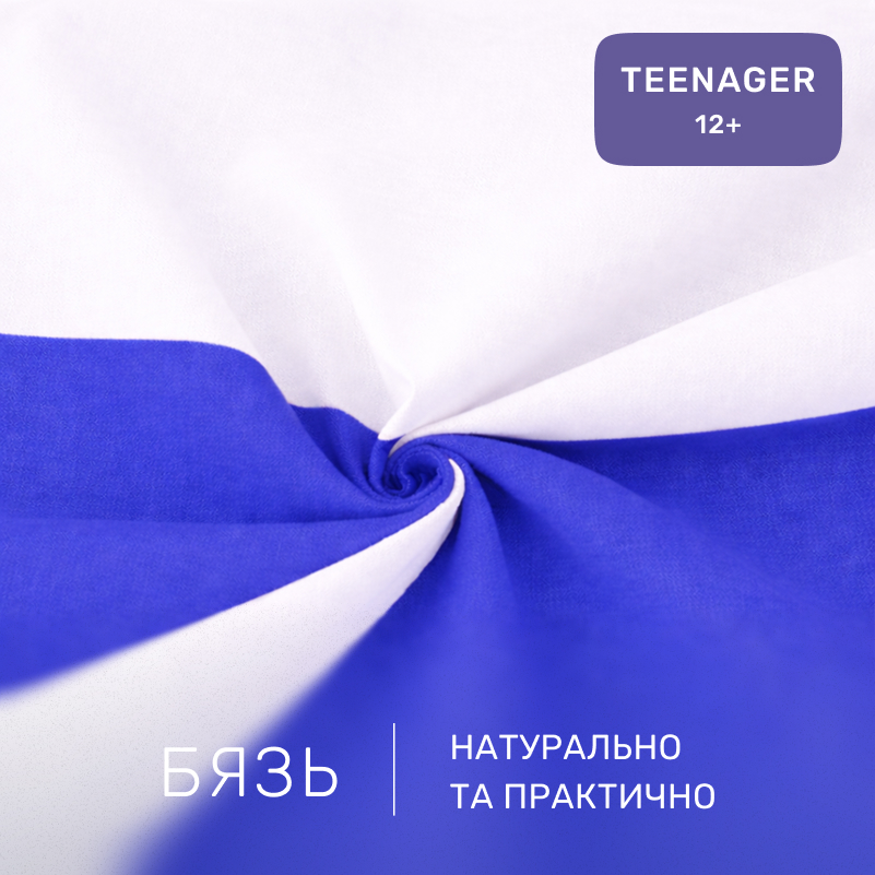 Комплект постельного белья Бязь TEENAGER Pablo Blue(11-2107+19-4150) - 1