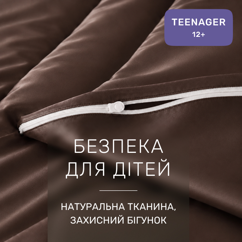 Комплект постельного белья Сатин TEENAGER Satin Light Pro 10-010 Brown - 2