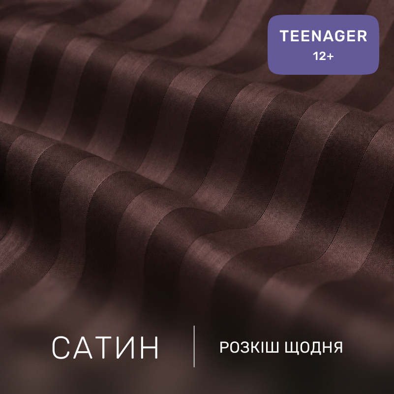 Комплект постельного белья Сатин TEENAGER Satin Stripe 30-0006 Dark Brown - 1