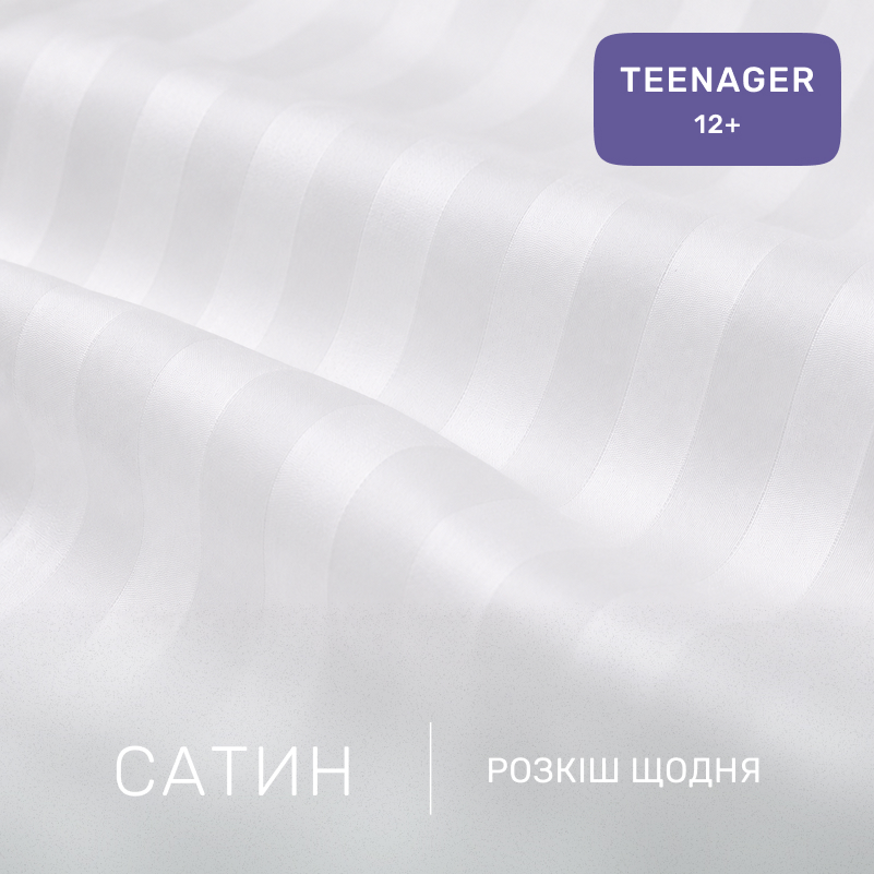 Комплект постельного белья Сатин TEENAGER Satin Stripe 30-0008 + 30-0001 Bethseda - 1