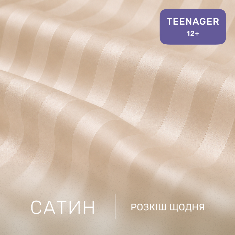 Комплект постельного белья Сатин TEENAGER Satin Stripe 30-0008 + 30-0004 Waleis - 1