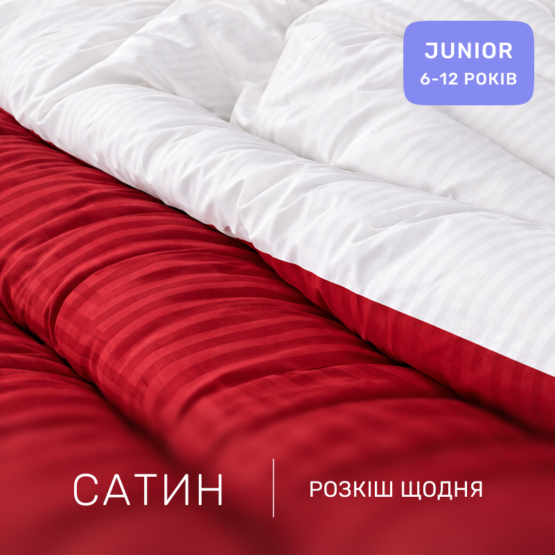 Комплект постельного белья Сатин JUNIOR Satin Stripe 30-0018 + 30-0001 Feinarina - 1