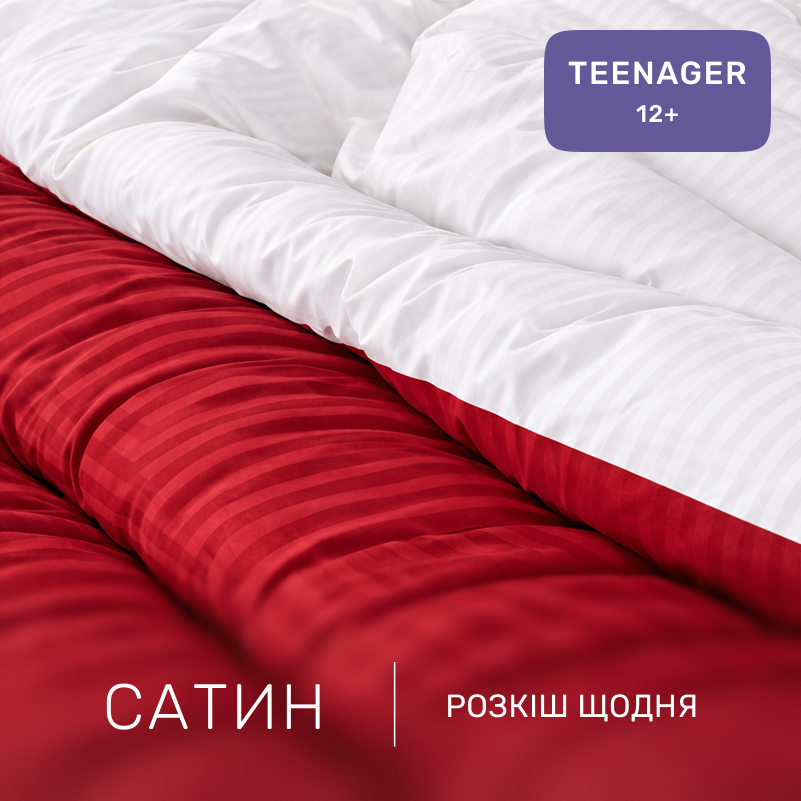 Комплект постельного белья Сатин TEENAGER Satin Stripe 30-0018 + 30-0001 Feinarina - 1