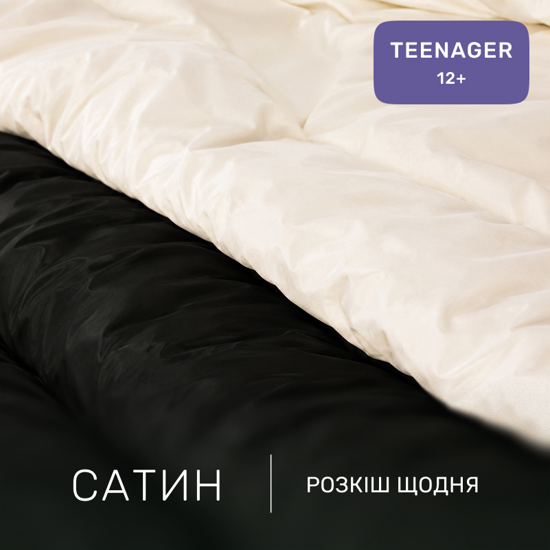 Комплект постельного белья Сатин TEENAGER Classic 0001+0055 - 1