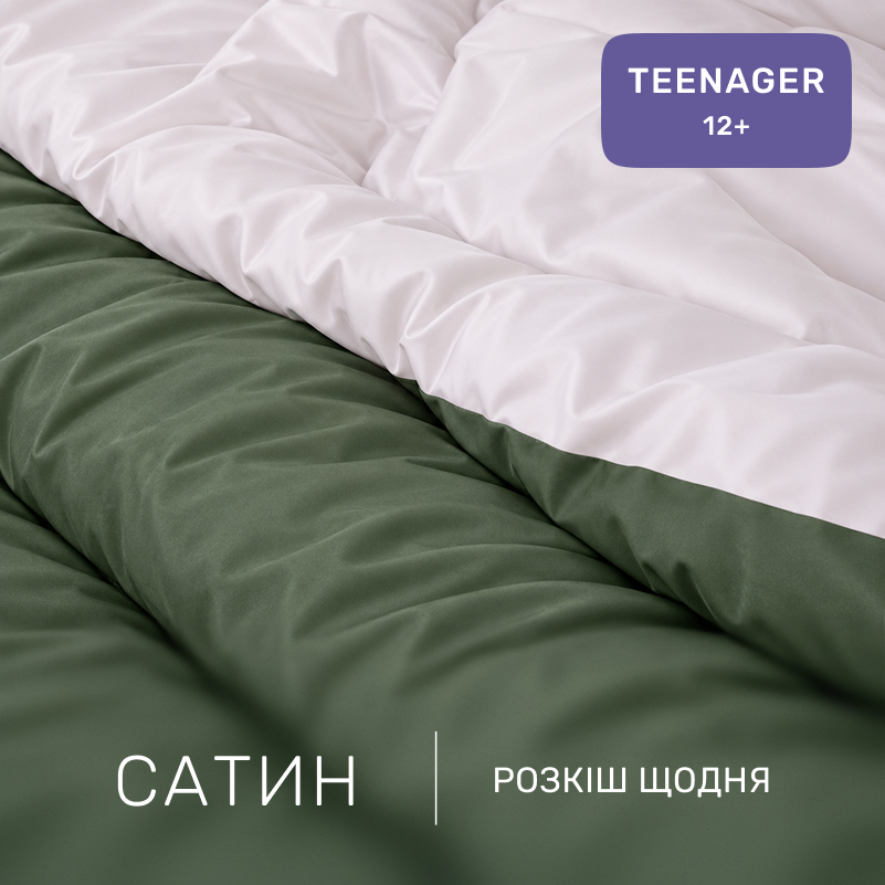 Комплект постельного белья Сатин TEENAGER 0844 + 0841 James - 1