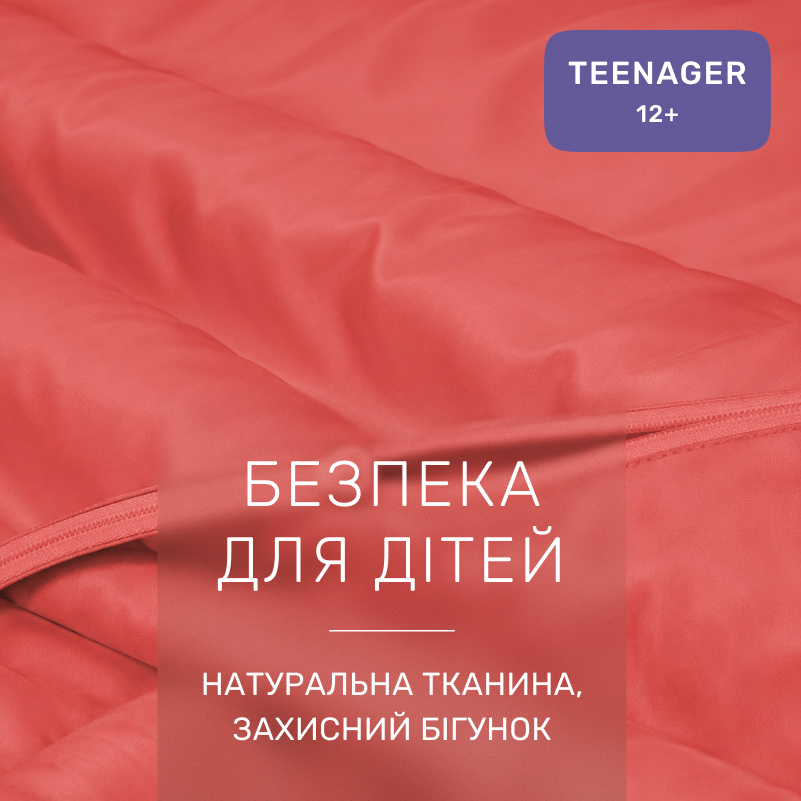 Комплект постельного белья Сатин TEENAGER 0132 Silvia - 2