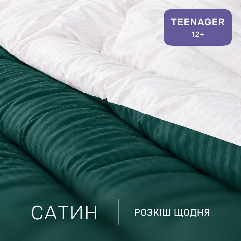 Комплект постельного белья Сатин TEENAGER Satin Stripe 30-0017 + 30-0001 Arabella - 1