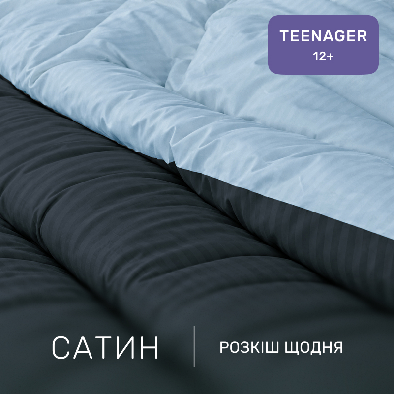 Комплект постільної білизни Сатин TEENAGER Satin Stripe 30-0021 + 30-0015 Edaliz - 1