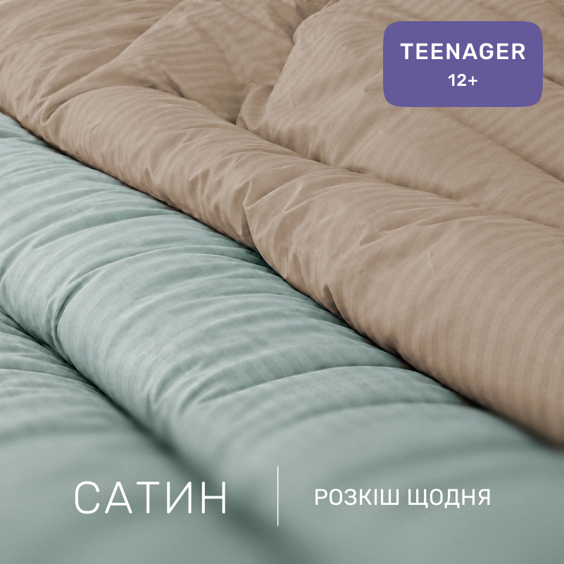 Комплект постельного белья Сатин TEENAGER Satin Stripe 30-0015 + 30-0004 Gavenia - 1