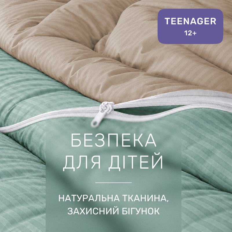 Комплект постельного белья Сатин TEENAGER Satin Stripe 30-0015 + 30-0004 Gavenia - 2