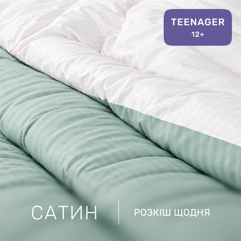 Комплект постельного белья Сатин TEENAGER Satin Stripe 30-0013 + 30-0001 Gilberta - 1