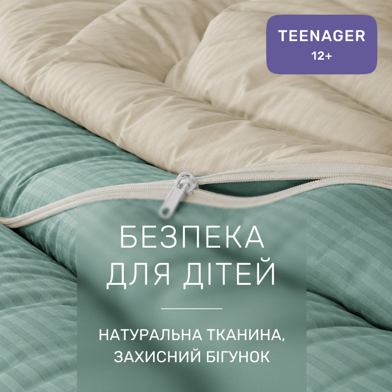 Комплект постельного белья Сатин TEENAGER Satin Stripe 30-0013 + 30-0004 Rovena - 2