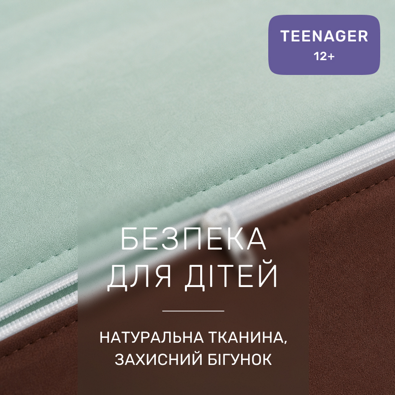 Комплект постільної білизни Фланель TEENAGER Фланель 006-003 Menthol/Brown - 2
