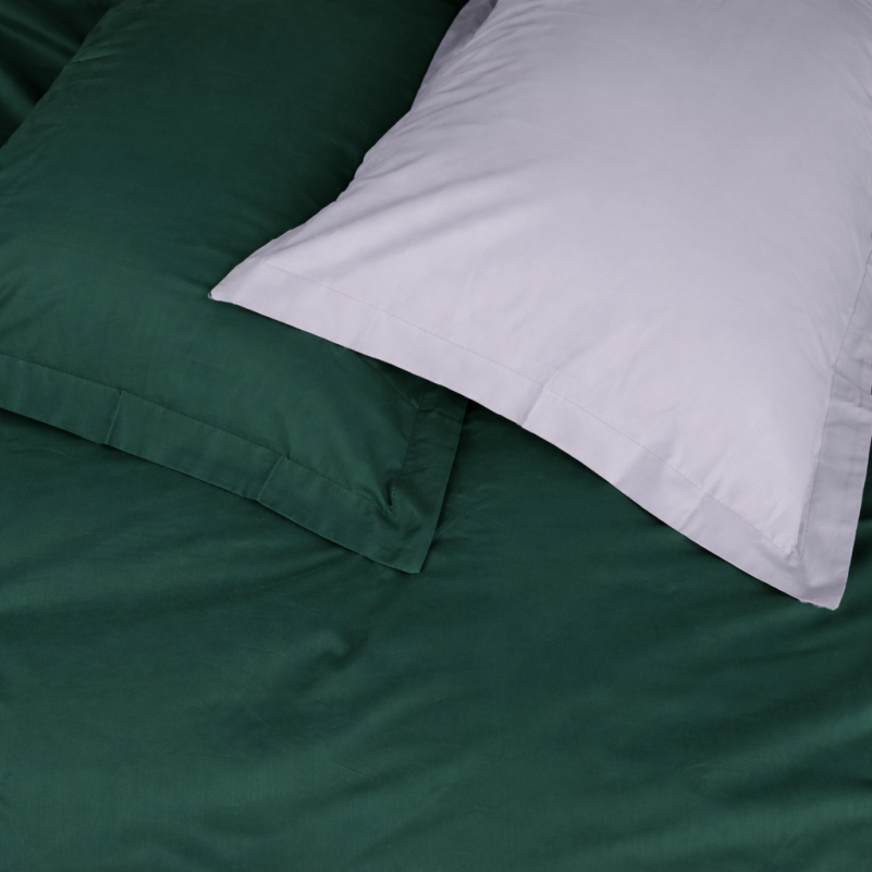 Комплект постельного белья JUNIOR Poplin Line 054 + 091 Denise - 3