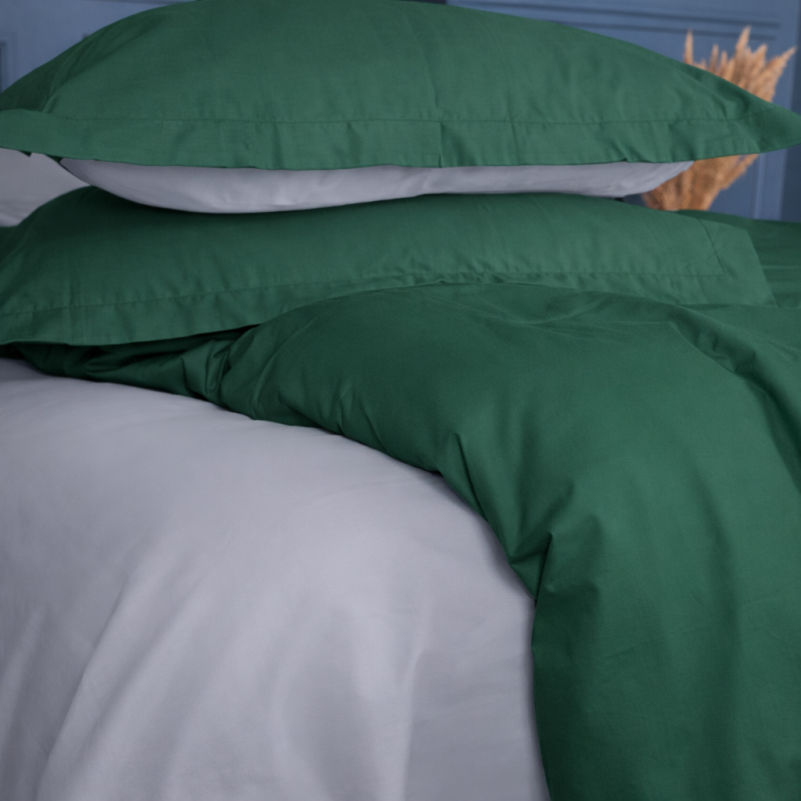 Комплект постельного белья JUNIOR Poplin Line 054 + 091 Denise - 1