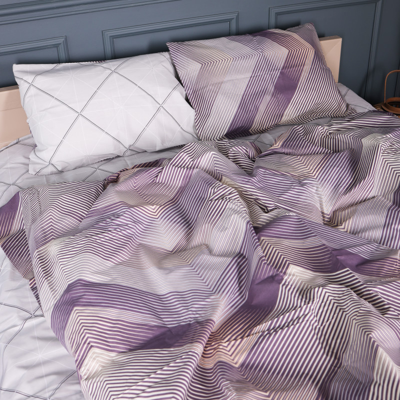 Комплект постельного белья Бязь 17-0939 Urban Prism