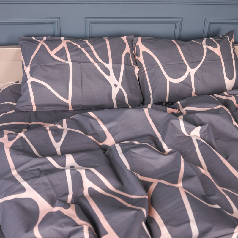 Комплект постільної білизни Бязь 17-0938 Silver Branch - 2