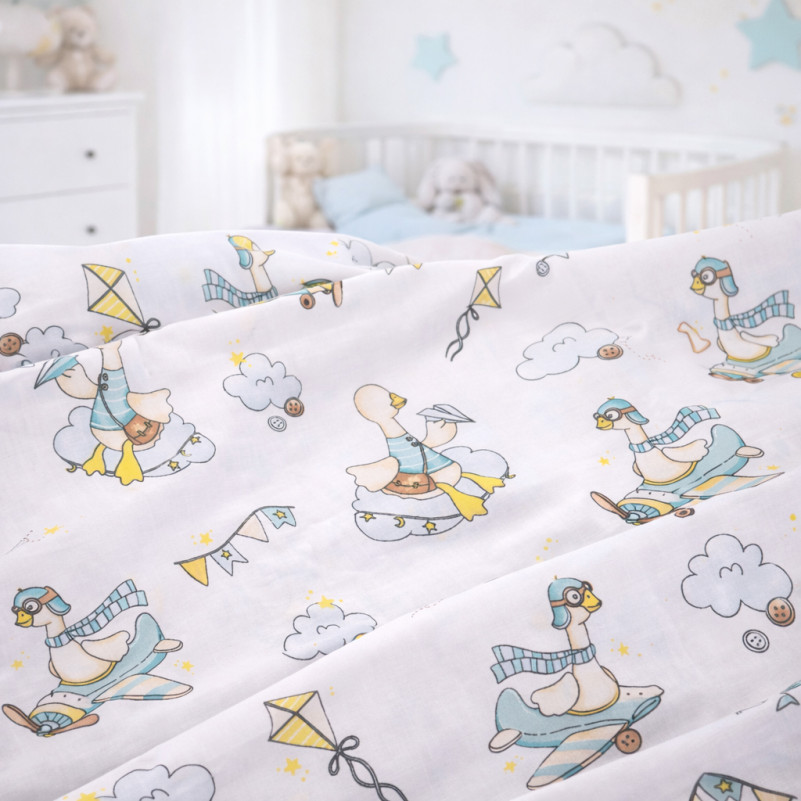 Пододеяльник Ranforce Elite 17-0927 Little Goose - 2