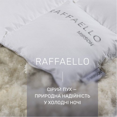 Одеяло пуховое кассетное Raffaello №053 90% серый пух Standart / 10% перо тик Premium - 2
