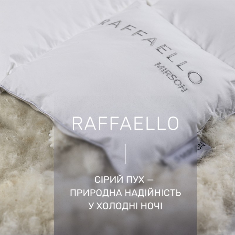 Одеяло пуховое кассетное Raffaello №053 90% серый пух Standart / 10% перо тик Premium (зимнее+) - 1