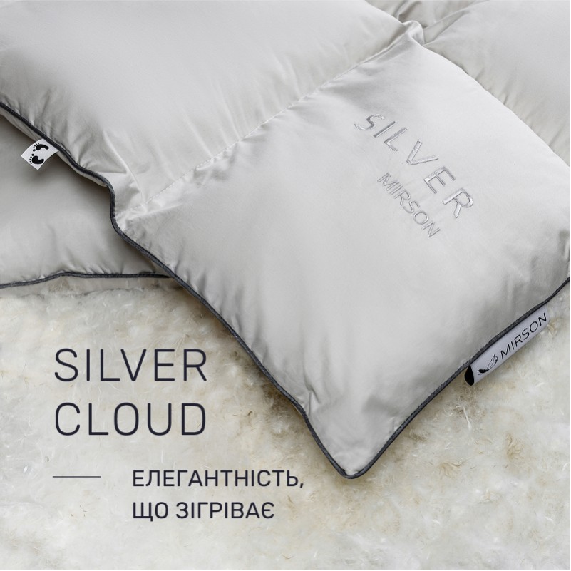 Одеяло пуховое Silver Cloud №067 90% серый пух Premium / 10% перо сатин (зима+) - 1