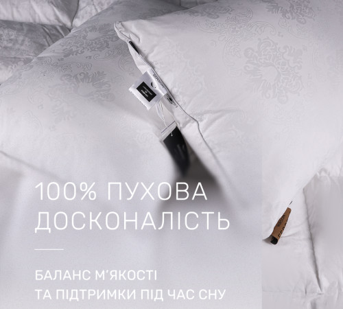 Ковдра пухова 100% пух Premium class №1502 Ferrero White  - 2