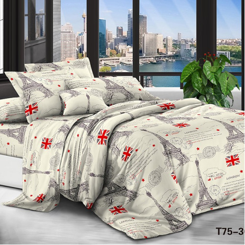 Комплект постельного белья Микрофибра принт 15-0379 Zaragoza