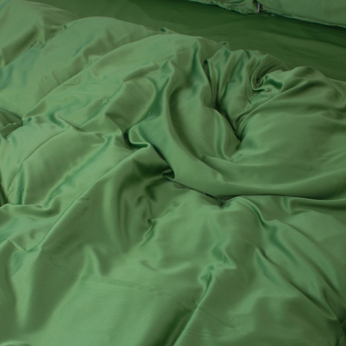 Комплект постельного белья Искусственный шелк 23-0010 Salad