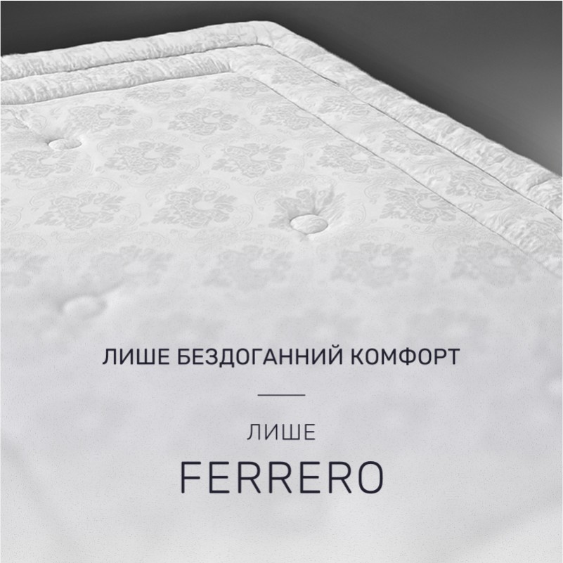 Одеяло шелковое №1511 Ferrero White Silk Kapok  - 1
