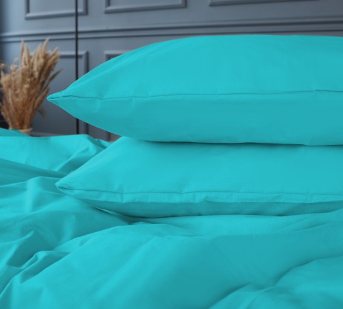 Постельное белье Бязь 11-2208 Mint