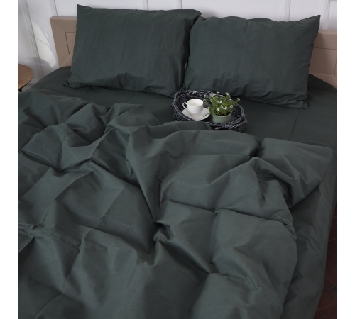 Комплект постельного белья Бязь 16-7000 Green Grey