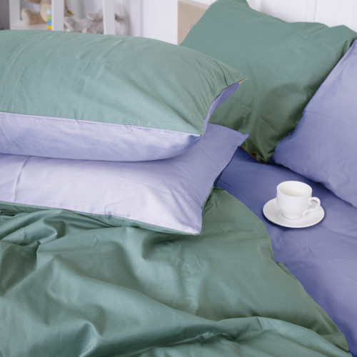 Комплект постельного белья Сатин 0844 + 0843 Edward