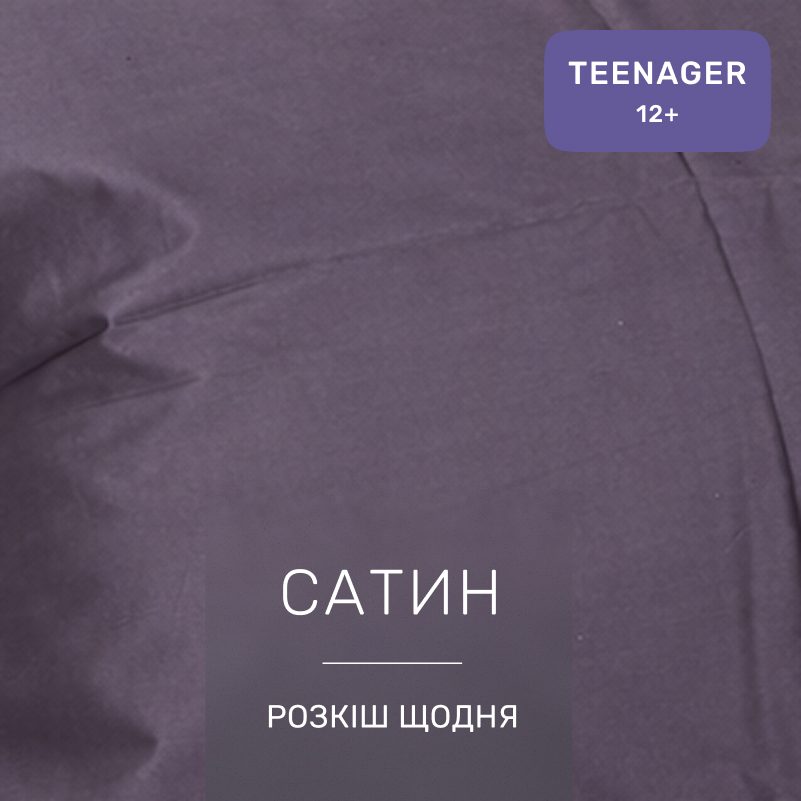 Комплект постельного белья Сатин TEENAGER Satin Light Pro 10-005 Dark Gray - 1