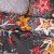 Holiday Star gray